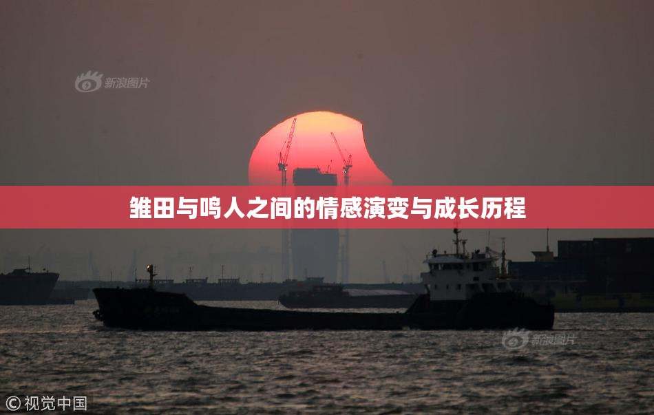 雏田与鸣人之间的情感演变与成长历程