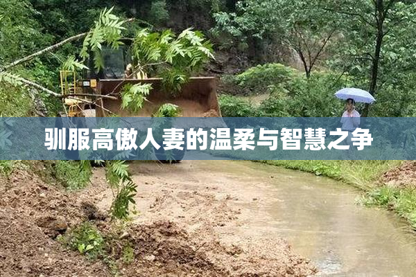 驯服高傲人妻的温柔与智慧之争