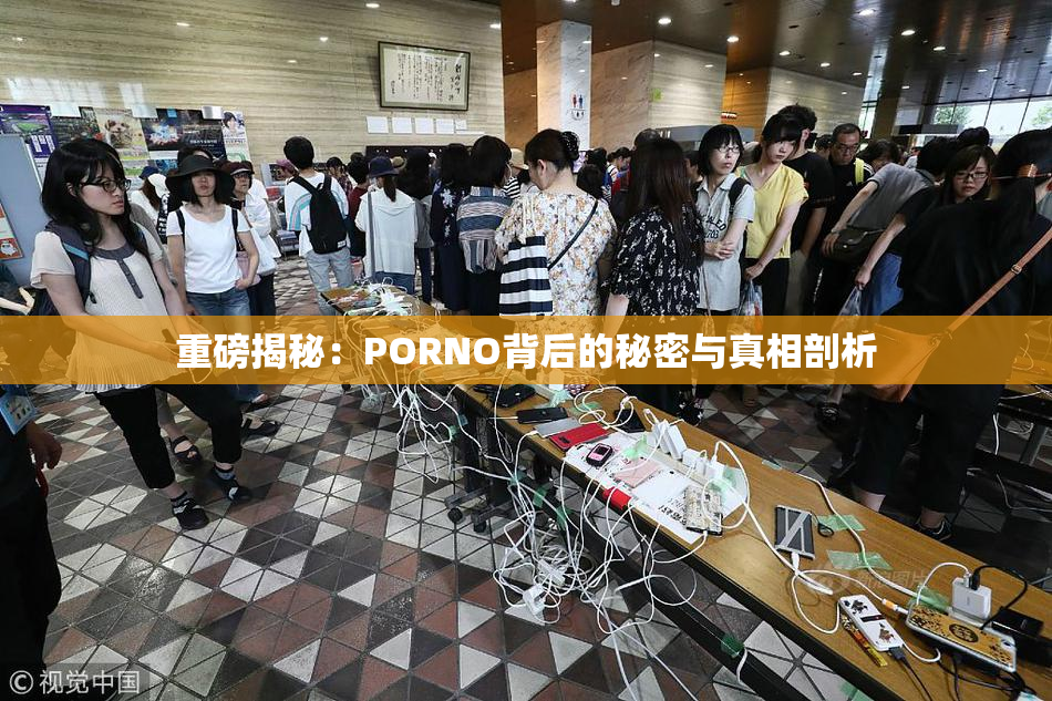 重磅揭秘：PORNO背后的秘密与真相剖析