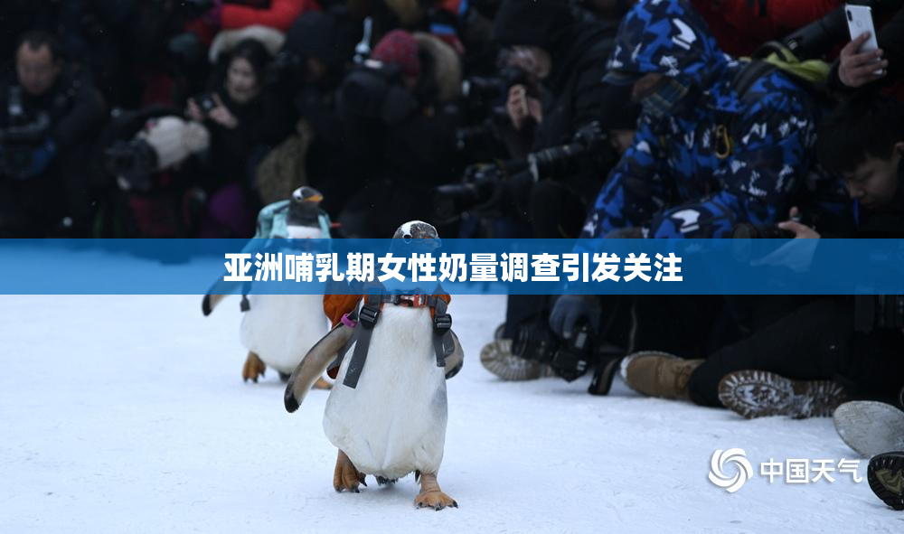 亚洲哺乳期女性奶量调查引发关注