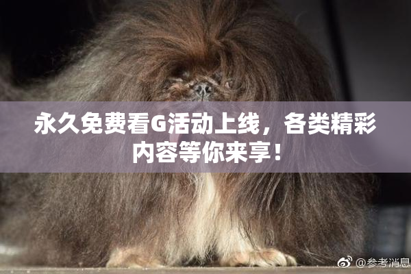 永久免费看G活动上线，各类精彩内容等你来享！