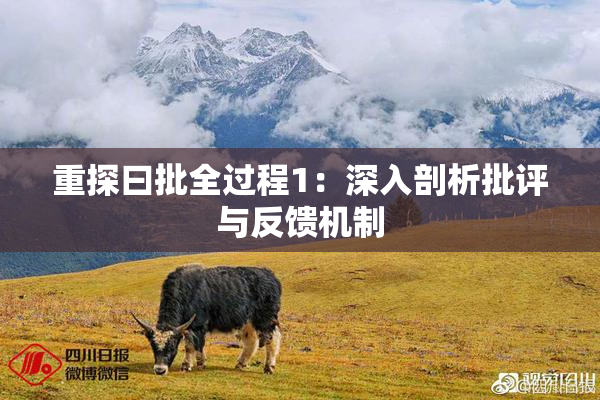 重探曰批全过程1：深入剖析批评与反馈机制