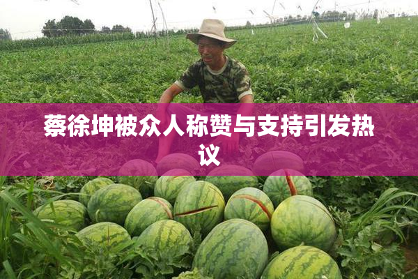 蔡徐坤被众人称赞与支持引发热议