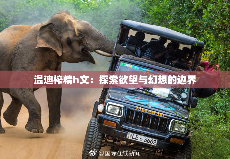 温迪榨精h文：探索欲望与幻想的边界