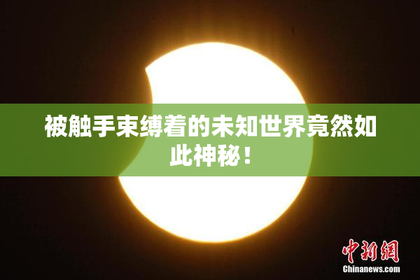 被触手束缚着的未知世界竟然如此神秘！