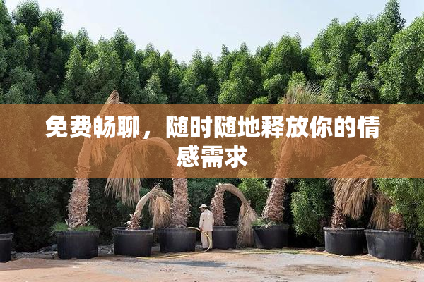 免费畅聊，随时随地释放你的情感需求