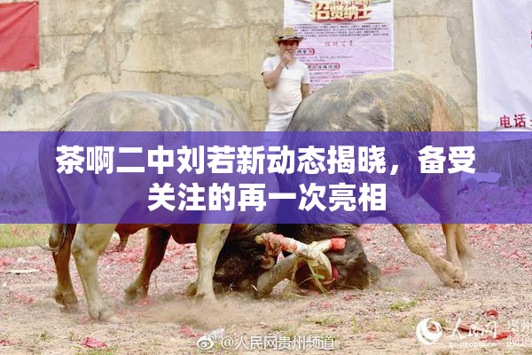 茶啊二中刘若新动态揭晓，备受关注的再一次亮相