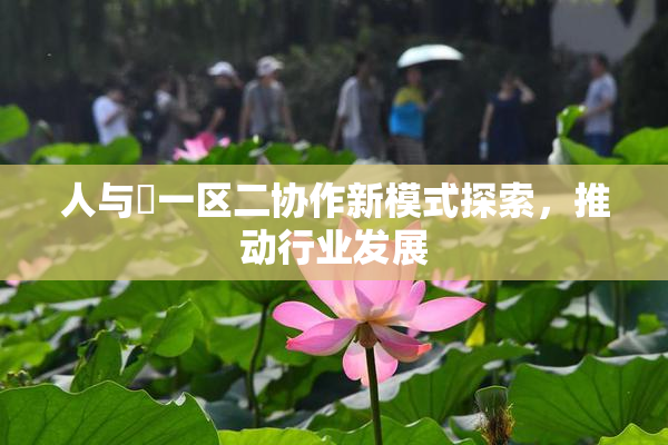 人与嘼一区二协作新模式探索，推动行业发展