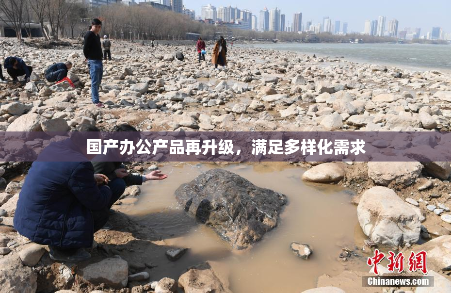 国产办公产品再升级，满足多样化需求