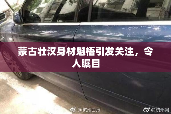 蒙古壮汉身材魁梧引发关注，令人瞩目