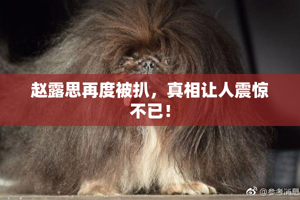 赵露思再度被扒，真相让人震惊不已！