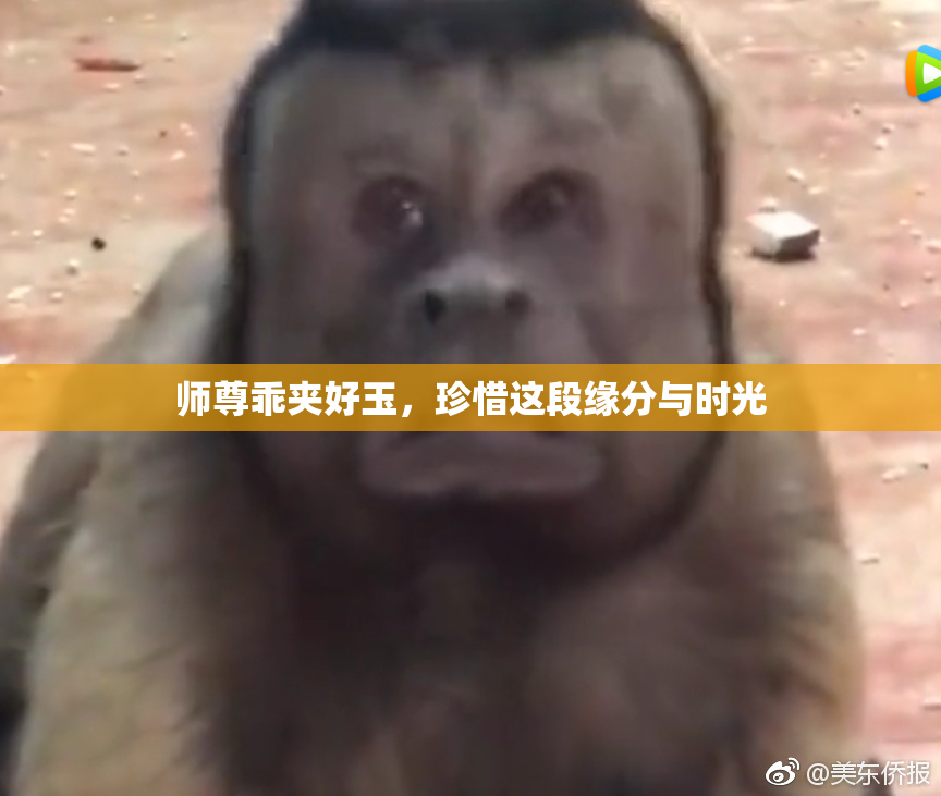 师尊乖夹好玉，珍惜这段缘分与时光