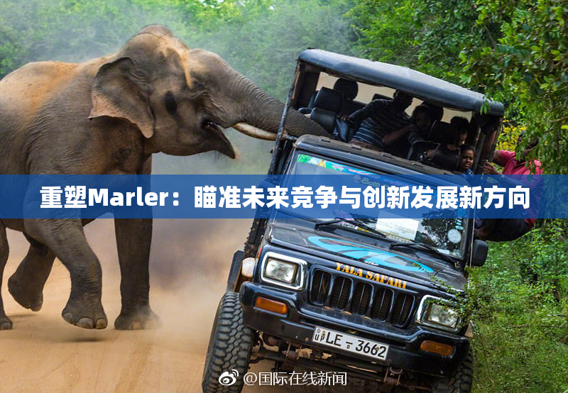 重塑Marler：瞄准未来竞争与创新发展新方向