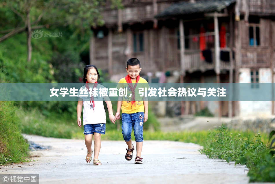 女学生丝袜被重创，引发社会热议与关注