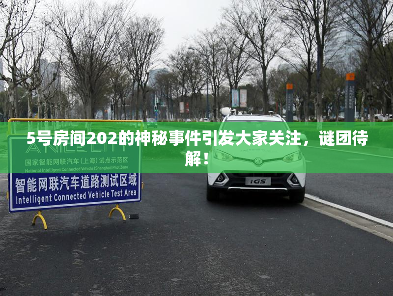 5号房间202的神秘事件引发大家关注，谜团待解！