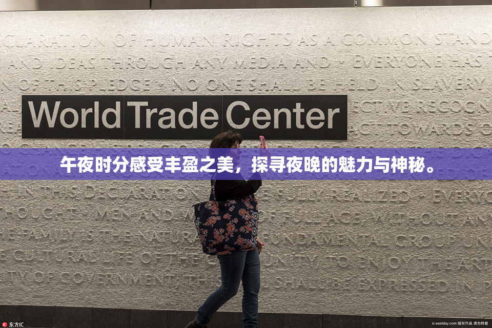 午夜时分感受丰盈之美，探寻夜晚的魅力与神秘。