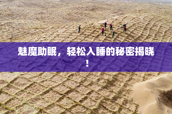 魅魔助眠，轻松入睡的秘密揭晓！