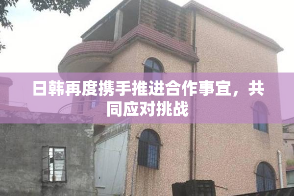 日韩再度携手推进合作事宜，共同应对挑战