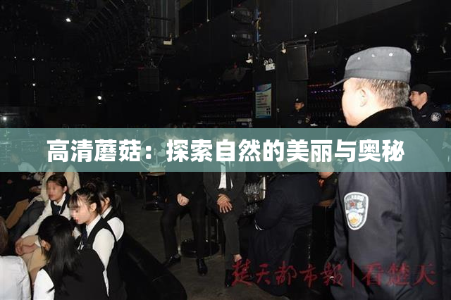 高清蘑菇：探索自然的美丽与奥秘