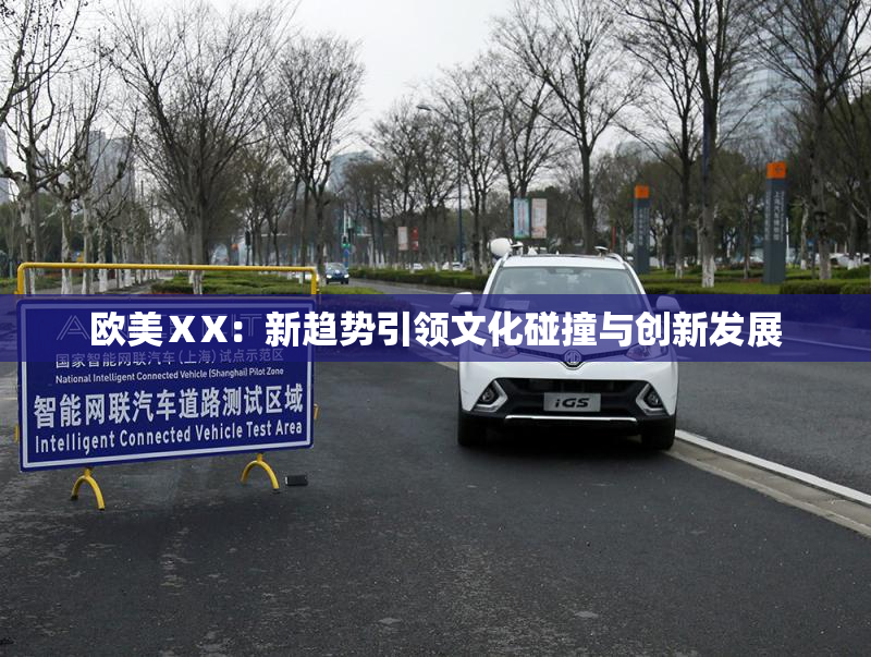 欧美ⅩX：新趋势引领文化碰撞与创新发展