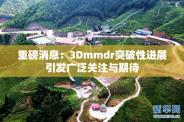 重磅消息：3Dmmdr突破性进展引发广泛关注与期待