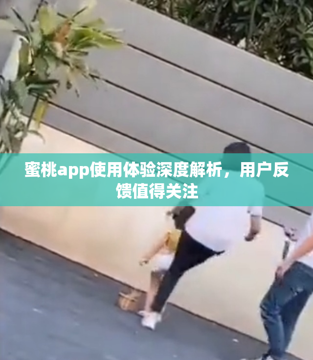 蜜桃app使用体验深度解析，用户反馈值得关注