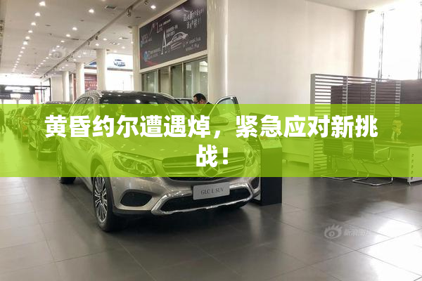 黄昏约尔遭遇焯，紧急应对新挑战！