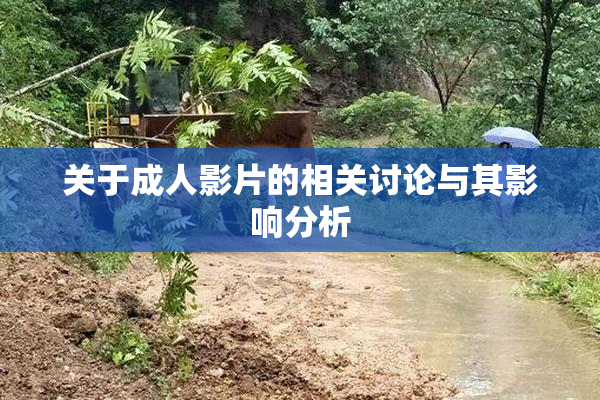 关于成人影片的相关讨论与其影响分析