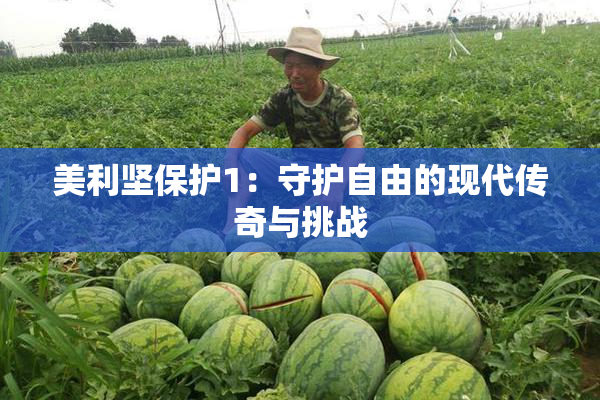 美利坚保护1：守护自由的现代传奇与挑战