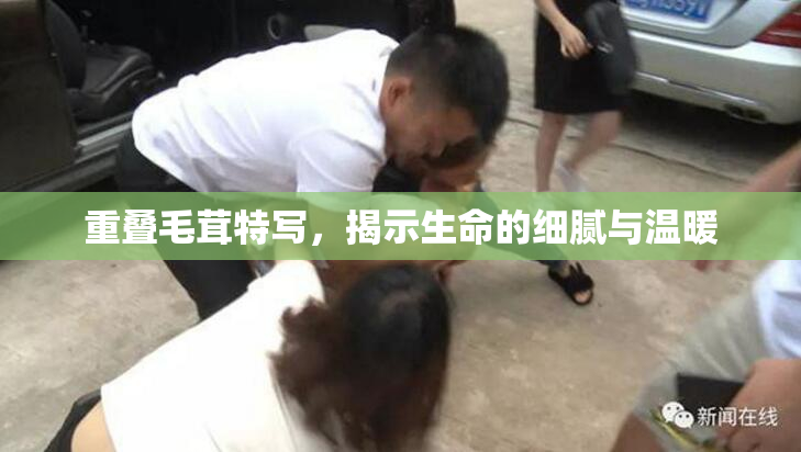 重叠毛茸特写，揭示生命的细腻与温暖