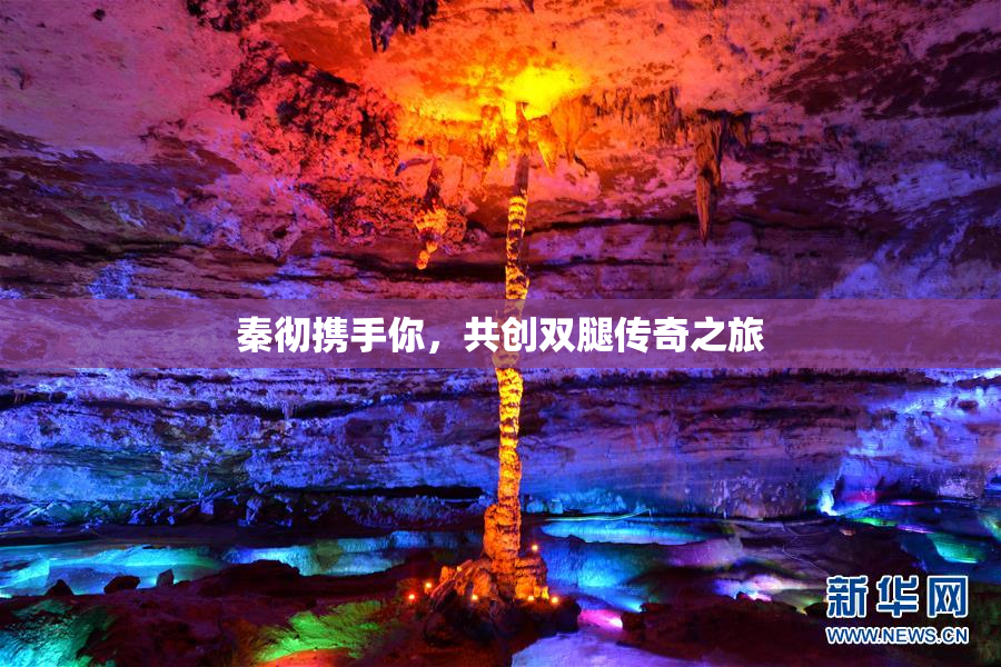 秦彻携手你，共创双腿传奇之旅
