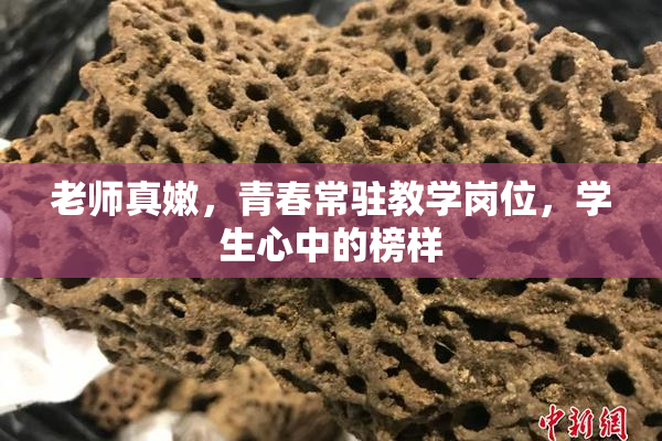 老师真嫩，青春常驻教学岗位，学生心中的榜样