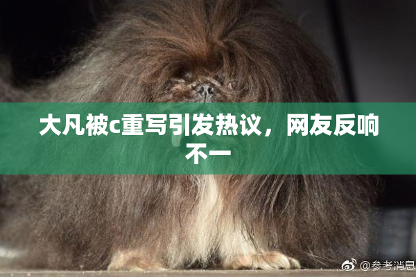 大凡被c重写引发热议，网友反响不一