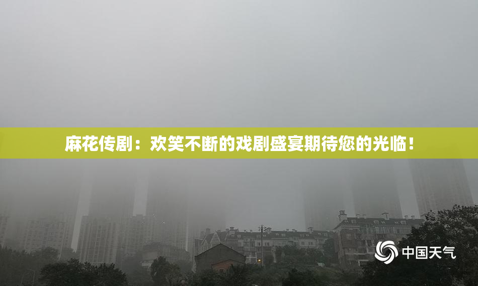 麻花传剧：欢笑不断的戏剧盛宴期待您的光临！