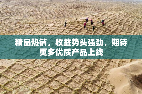 精品热销，收益势头强劲，期待更多优质产品上线