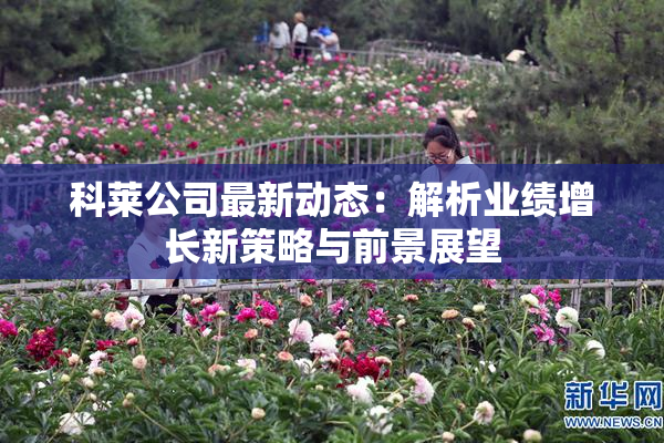 科莱公司最新动态：解析业绩增长新策略与前景展望