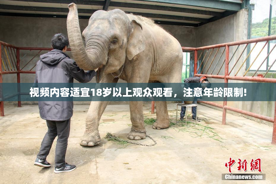 视频内容适宜18岁以上观众观看，注意年龄限制!