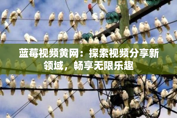 蓝莓视频黄网：探索视频分享新领域，畅享无限乐趣