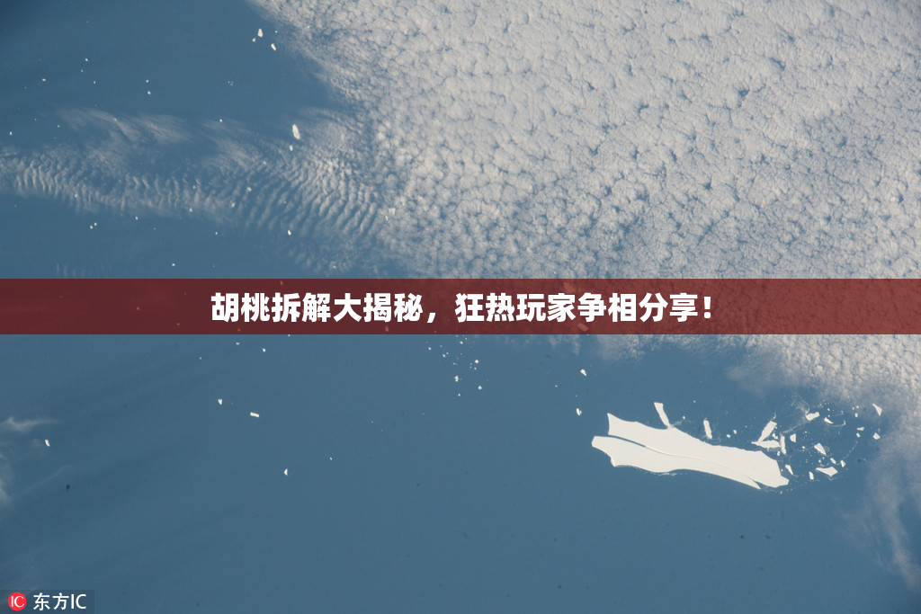 胡桃拆解大揭秘，狂热玩家争相分享！