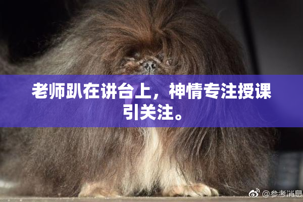 老师趴在讲台上，神情专注授课引关注。
