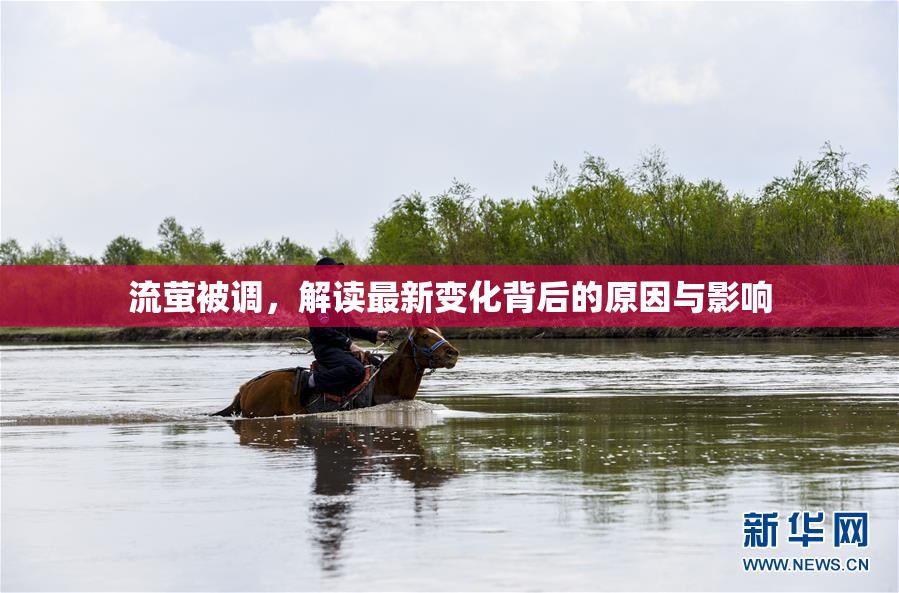 流萤被调，解读最新变化背后的原因与影响