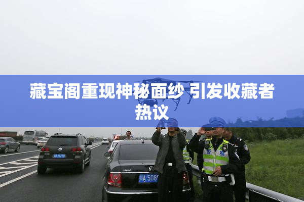 藏宝阁重现神秘面纱 引发收藏者热议