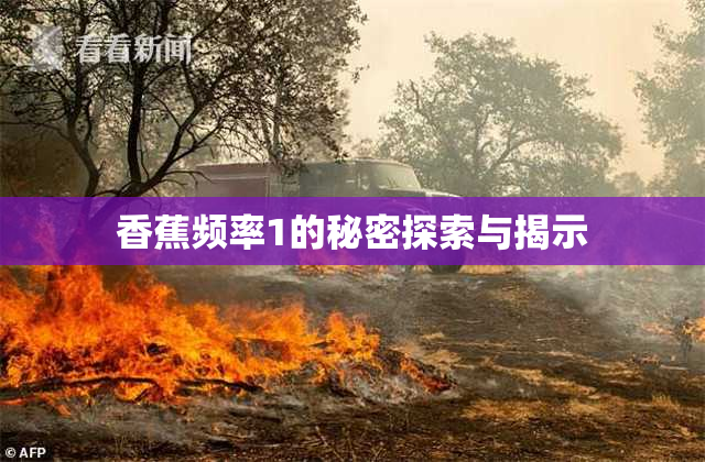 香蕉频率1的秘密探索与揭示
