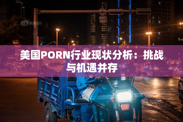 美国PORN行业现状分析：挑战与机遇并存
