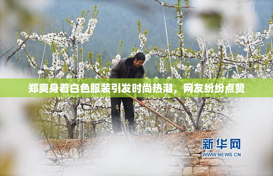 郑爽身着白色服装引发时尚热潮，网友纷纷点赞