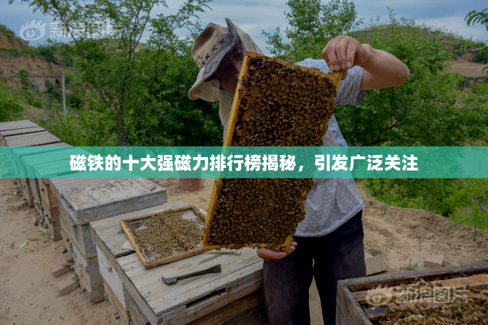 磁铁的十大强磁力排行榜揭秘，引发广泛关注
