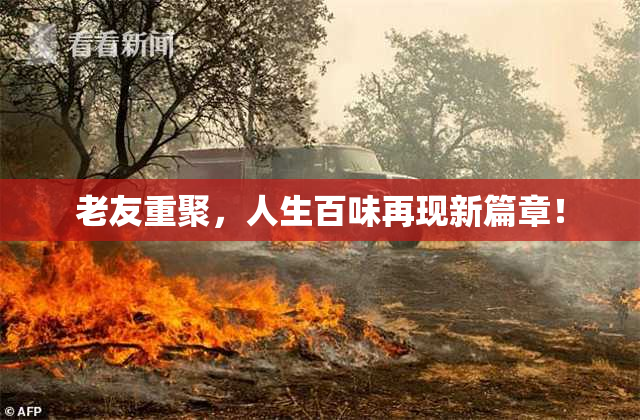 老友重聚，人生百味再现新篇章！