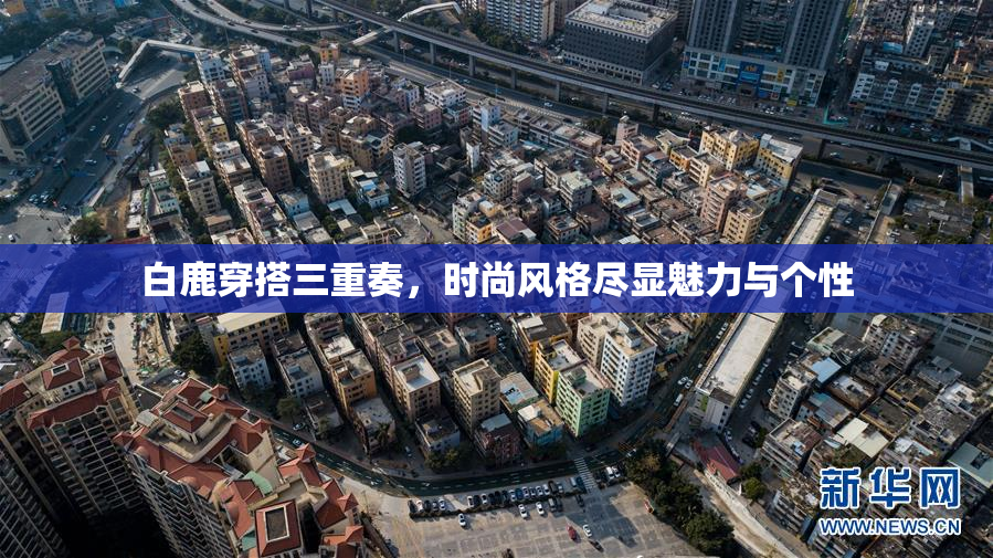 白鹿穿搭三重奏，时尚风格尽显魅力与个性