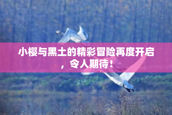 小樱与黑土的精彩冒险再度开启，令人期待！