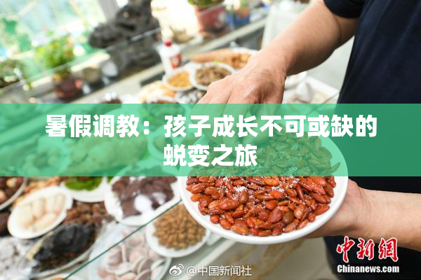 暑假调教：孩子成长不可或缺的蜕变之旅